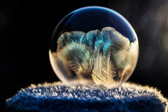 Frozen_Bettina-Naedele