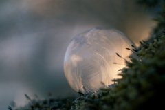 frozen-bubble frozen-bubble