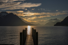 Am-See