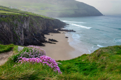 Dingle-Morgenstimmung-1