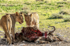 Namibia-Mahlzeit