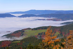 Herbstnebel Herbstnebel