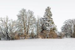 Wintertraum